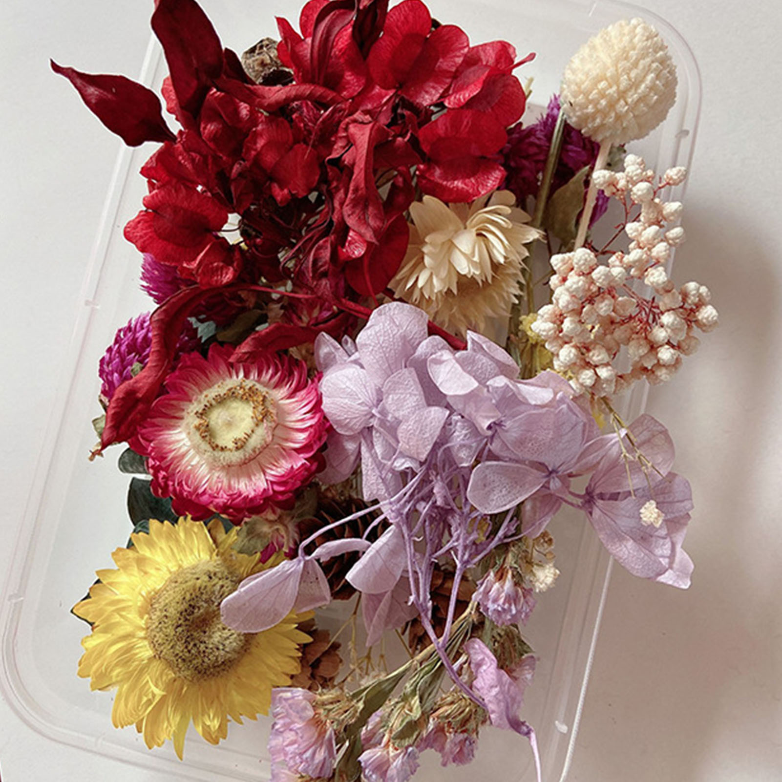 Natural Dried Flower Kit Press - Candle Supplies Kit review and price