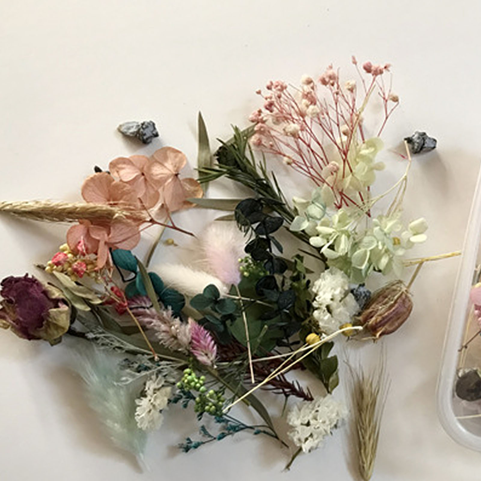 Natural Dried Flower Kit Press - Candle Supplies Kit review and price